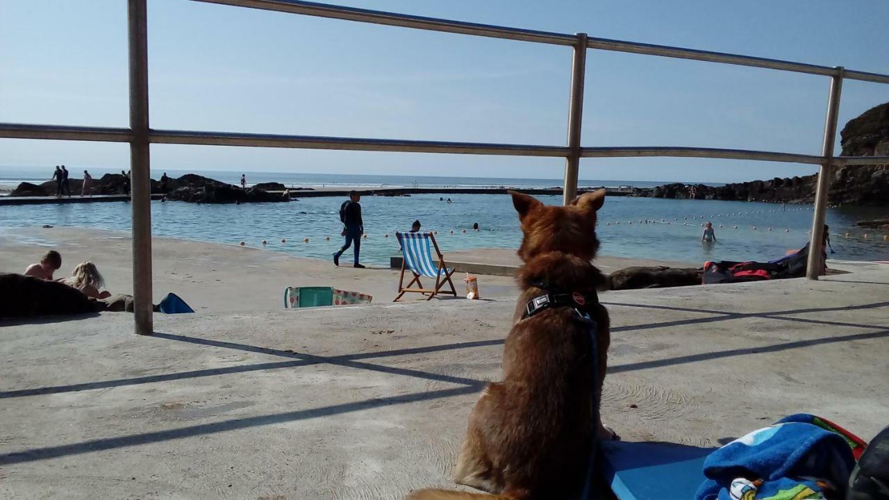 Atlantica Villa Bude Eksteriør billede